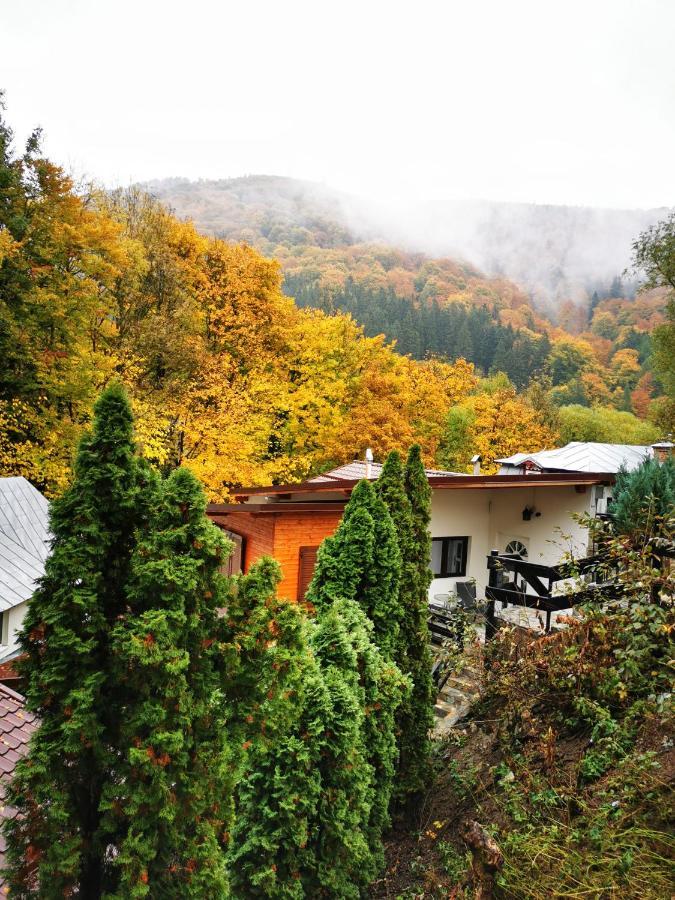 Hotel Casa Flandria Sinaia Exterior foto