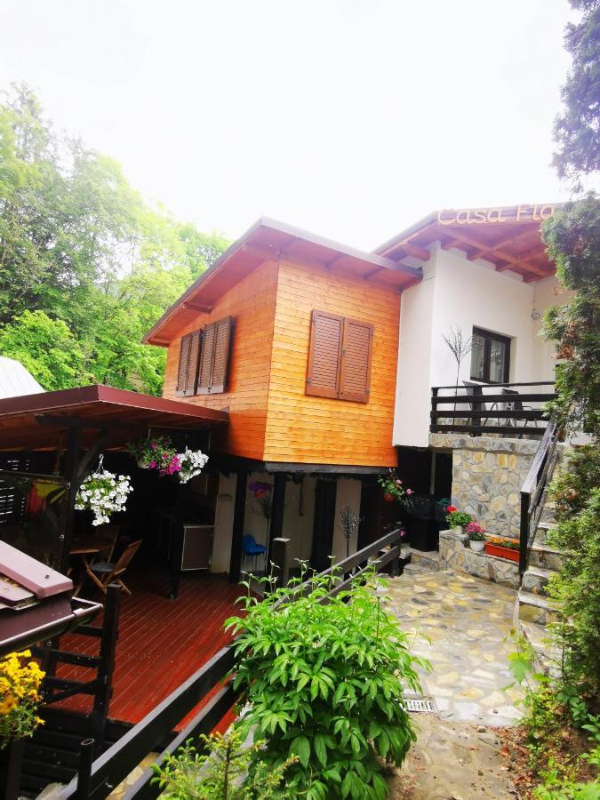 Hotel Casa Flandria Sinaia Exterior foto